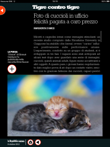 Tigre contro tigre - Foto di cuccioli in ufficio, felicità pagata a caro prezzo - di Margherita d'Amico - Repubblica sera